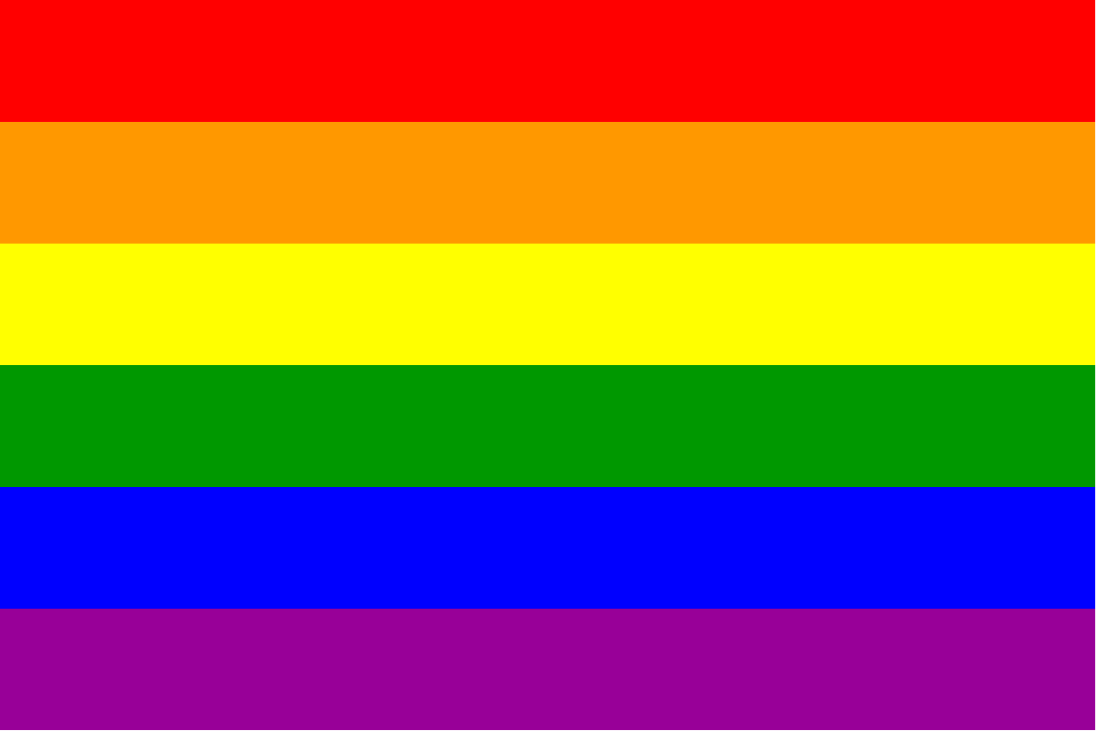 Gay Pride Flags 48